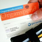 Organspende: Informationsbedarf gestiegen